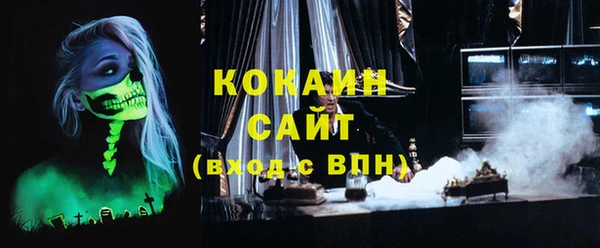 прущие грибы Коряжма