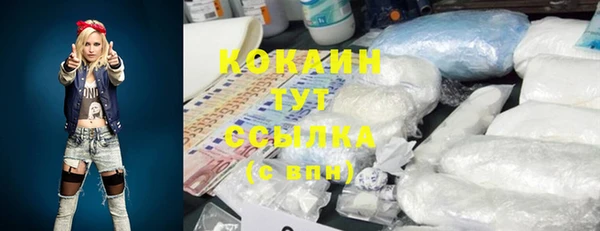гидра Костерёво