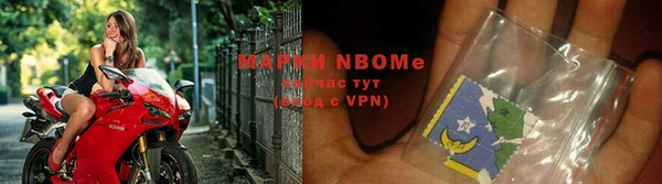 прущие грибы Коряжма