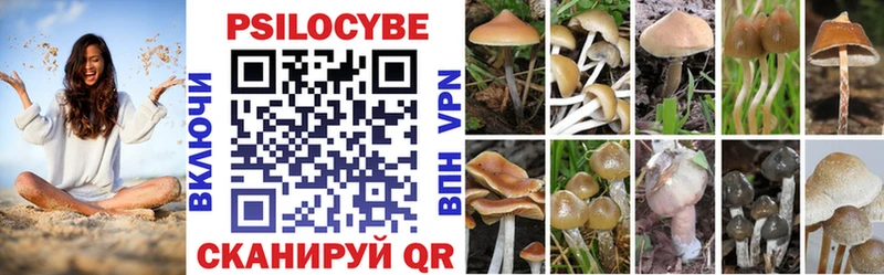 Галлюциногенные грибы мицелий  ОМГ ОМГ как войти  Белово 