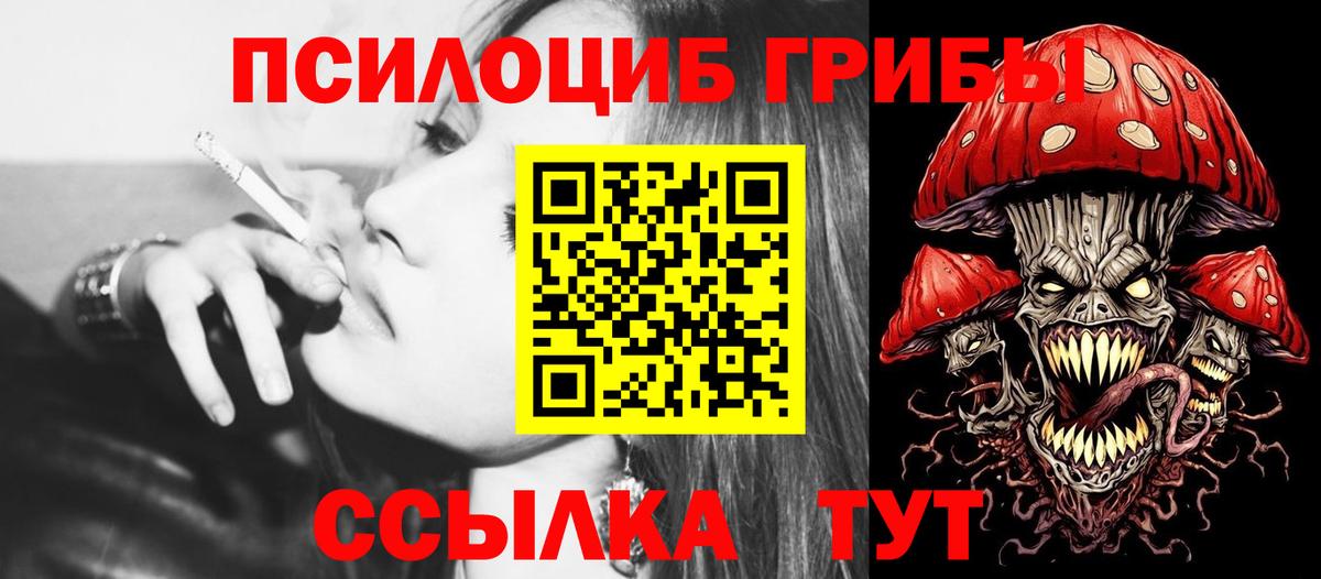 Псилоцибиновые грибы Psilocybe Белово