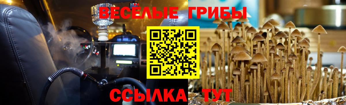 Галлюциногенные грибы мухоморы Белово